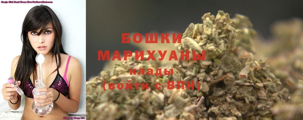 apvp Гусиноозёрск