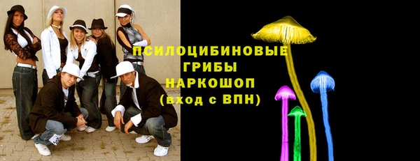 дурь Дмитриев
