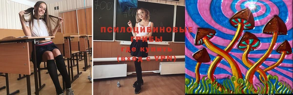 apvp Гусиноозёрск