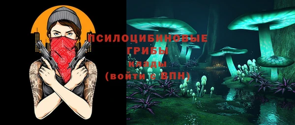 Альфа ПВП Гусь-Хрустальный