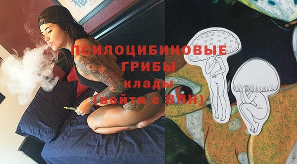 стаф Горно-Алтайск