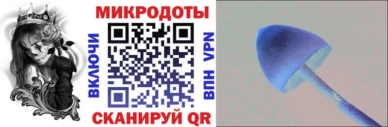 Галлюциногенные грибы Psilocybine cubensis  Купить где  Ленинск 